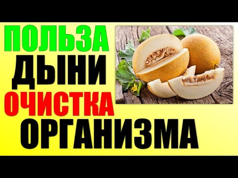 Что будет если есть дыню КАЖДЫЙ ДЕНЬ. Чем полезна дыня