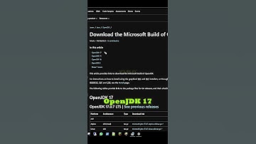 How to Solve Minecraft Server Error JDK Easily #shorts