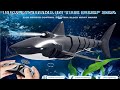 RC Shark Toys Remote Control Animal Electronic Swim Fish Funny Electric Swi