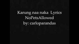 Karung Naa Naka - NoPetsAllowed Lyrics on screen
