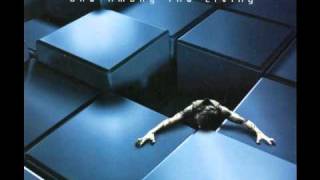 Mystery - Kameleon Man
