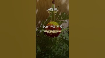 تلاوة عطرة{سورة الفاتحة )بصوت فاطمة الزهراء