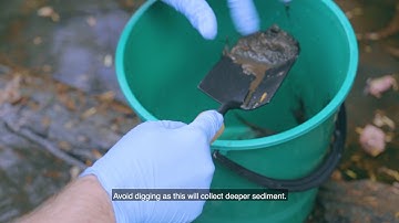 Pesticide Detectives Sediment Collection Instructions