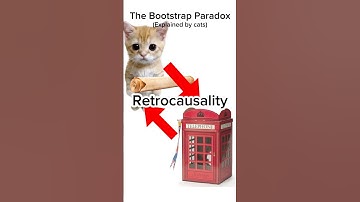 The Bootstrap Paradox #catanimation #philosophy #paradox