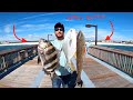 Fishing the *NEW* Alabama Gulf State Park PIER