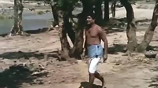 Irukkum idathai vittu illatha idam thedi sivaji song WhatsApp status || @legendgroups || old hits