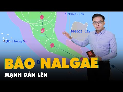 Video Dự báo thời tiết 29-10: Bão NALGAE mạnh dần; Từ Quảng... - youtube