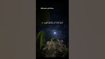تلاوة خاشعه | القارئ ياسر الدوسري 🤍 #قرآن​ #quran​ #راحة_نفسية