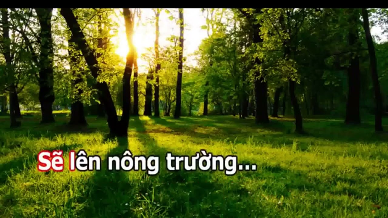 ĐỒNG ĐỘI KARAOKE BÈ TONE NAM