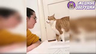 видео: 🤣ЛУЧШИЕ ПРИКОЛЫ С ЖИВОТНЫМИ | НОВЫЕ ПРИКОЛЫ С КОТАМИ, СОБАКАМИ | СМЕШНЫЕ ЖИВОТНЫЕ #37🤣🤣🤣 картинка: 🤣ЛУЧШИЕ ПРИКОЛЫ С ЖИВОТНЫМИ | НОВЫЕ ПРИКОЛЫ С КОТАМИ, СОБАКАМИ | СМЕШНЫЕ ЖИВОТНЫЕ #37🤣🤣🤣