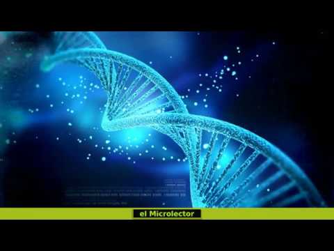 Vídeo: ¡Aproximadamente 500 Genes Humanos Se Vuelven Más Activos Después De La Muerte! - Vista Alternativa
