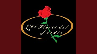 Vignette de la vidéo "Jose Romagoza - Las flores del jardín"