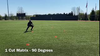 1 Cut Matrix 90 Degrees
