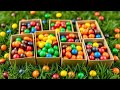 Sweets Oddly Satisfying!