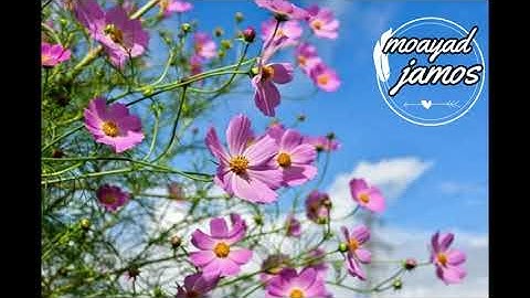 سورة النازعات ....من جزء عم...تلاوة هادئة تساعد على الحفظ   ...القارئ مؤيد جاموس