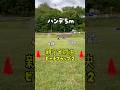 親子で対決ビーチフラッグ〜フィンをつけたパパから逃げろ〜