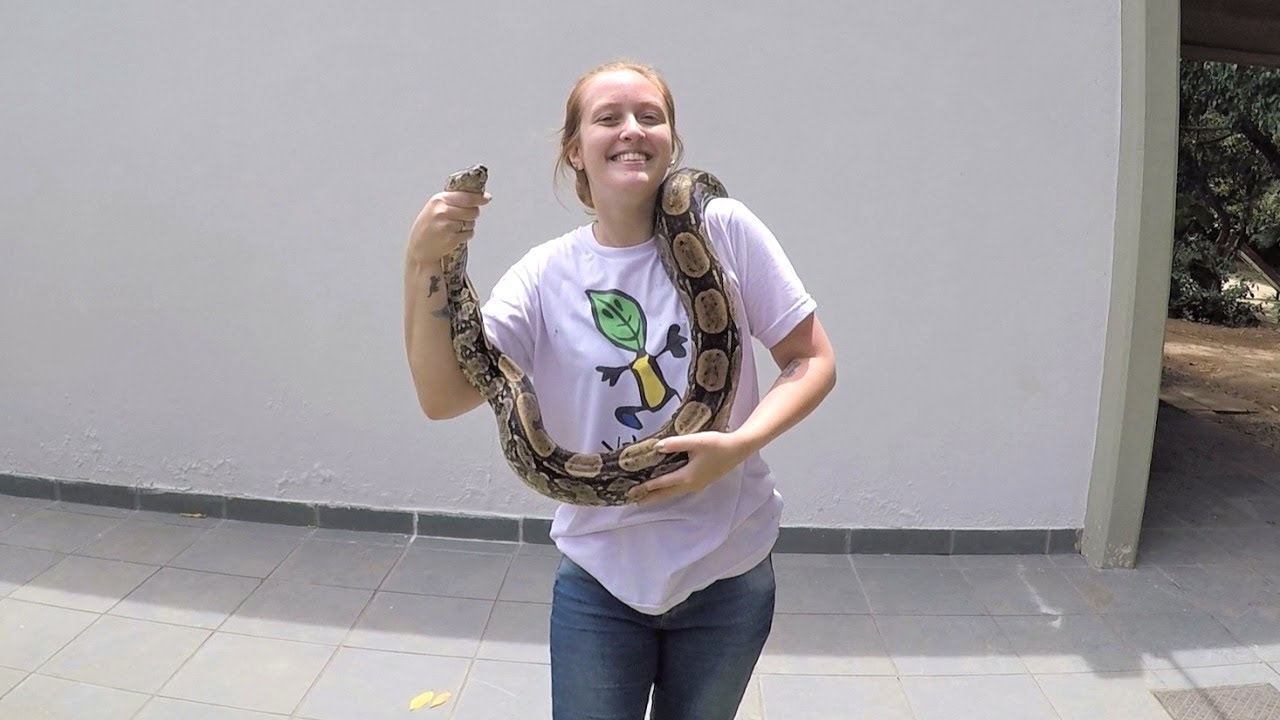 UM DIA NO ESTÁGIO | Julia Maciel