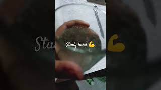 #ytshort #bihar#students #study #hardwork #motivation #competition #exam #failure #success #mindset