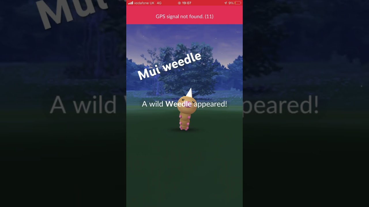 Bro how do I catch the weedle