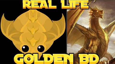 MOPE.IO ALL ANIMALS V