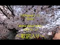 経る時 /松任谷由実(歌詞入り)桜の名曲に歌詞を入れてみました🌸 # 経る時 #松任谷由実 #小原孝playsユーミン #桜 1983年発売「REINCARNATION」収録作品