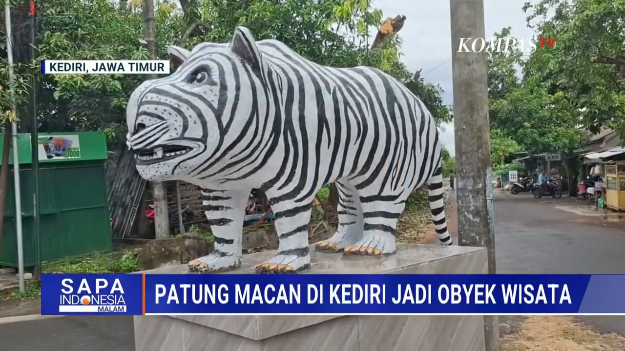 Статуя тигра в Кедыри превратилась в временную туристическую достопримечательность, и посетители ...