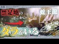 【観察&考察】朽ちてなお影響力健在のトンデモ古龍「ダラ・アマデュラ」が与える禁足地への影響を考える - モンハン考察シリーズ【ハプらすGames】