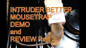 Intruder Better Mousetrap Demo and Review Part 2 night vision