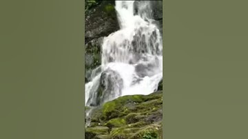 سورة ق الشيخ ياسر الدوسري
