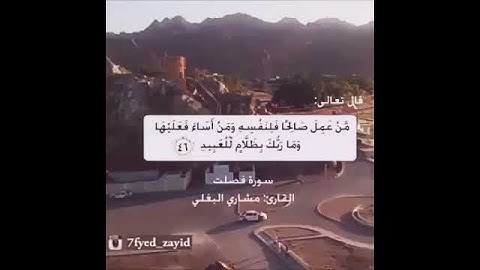 جزء من سورة فصلت ، مشاري البغلي