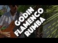 Sol y sombras  godin flamenco guitar rumba  ben woods