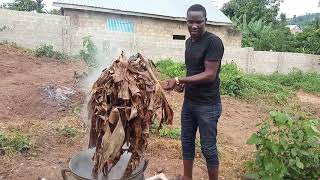 Treatment of Dry Leaves used in Snail Pens Resimi