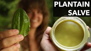 Making a Plantain Salve for Bug Bites