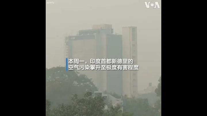 印度首都新德里的空气污染创三年来新高 - 天天要闻
