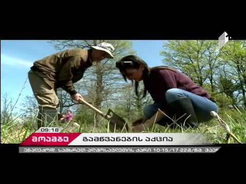 გამწვანების აქცია აჯამეთის აღკვეთილში