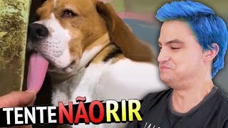 O TENTE NÃO RIR VOLTOU!!! [+10]