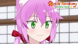 Download Lagu Feline Affection | Seton Academy: Join the Pack! MP3