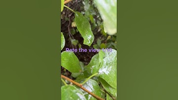 Take a break from all the chaos in you’re life and know you got this