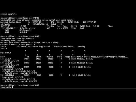 Configuring Data Center EVPN-VXLAN