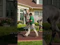 Who remembers this ICONIC @belmontstakes moment?! #horseracing #belmontstakes #triplecrown