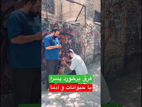 فرق برخور پسرا آقایان با حیونا و ادما همین قدر از تو ما مهربونیم به لحنمون توجه نکنید