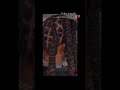 Retwist transition #trending #explore #shortsvideo #explorepage #exploremore #trending #viralshort