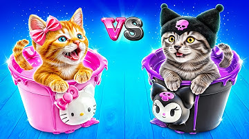 Thử Thách Xây Nhà Một Màu Cho Mèo! Hello Kitty vs Kuromi