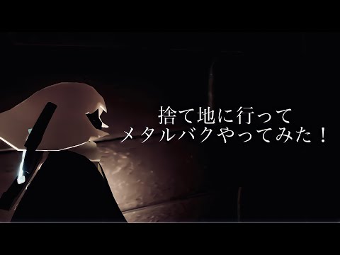 メタルバグって綺麗だよねぇ