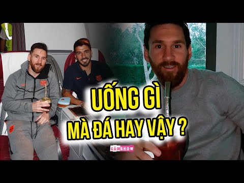 LOẠI TRÀ quen thuộc trên tay Lionel Messi là gì? LỢI ÍCH SỨC KHỎE từ bình trà “THẦN THÁNH”?