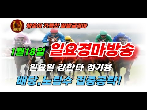 말발굽경마🔴일요경마 강하다 😊1월18일 일요경마방송 🎯정기용경마 배당,노림수집중 🐎서울경마