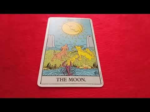 ความหมาย ไพ่ THE MOON