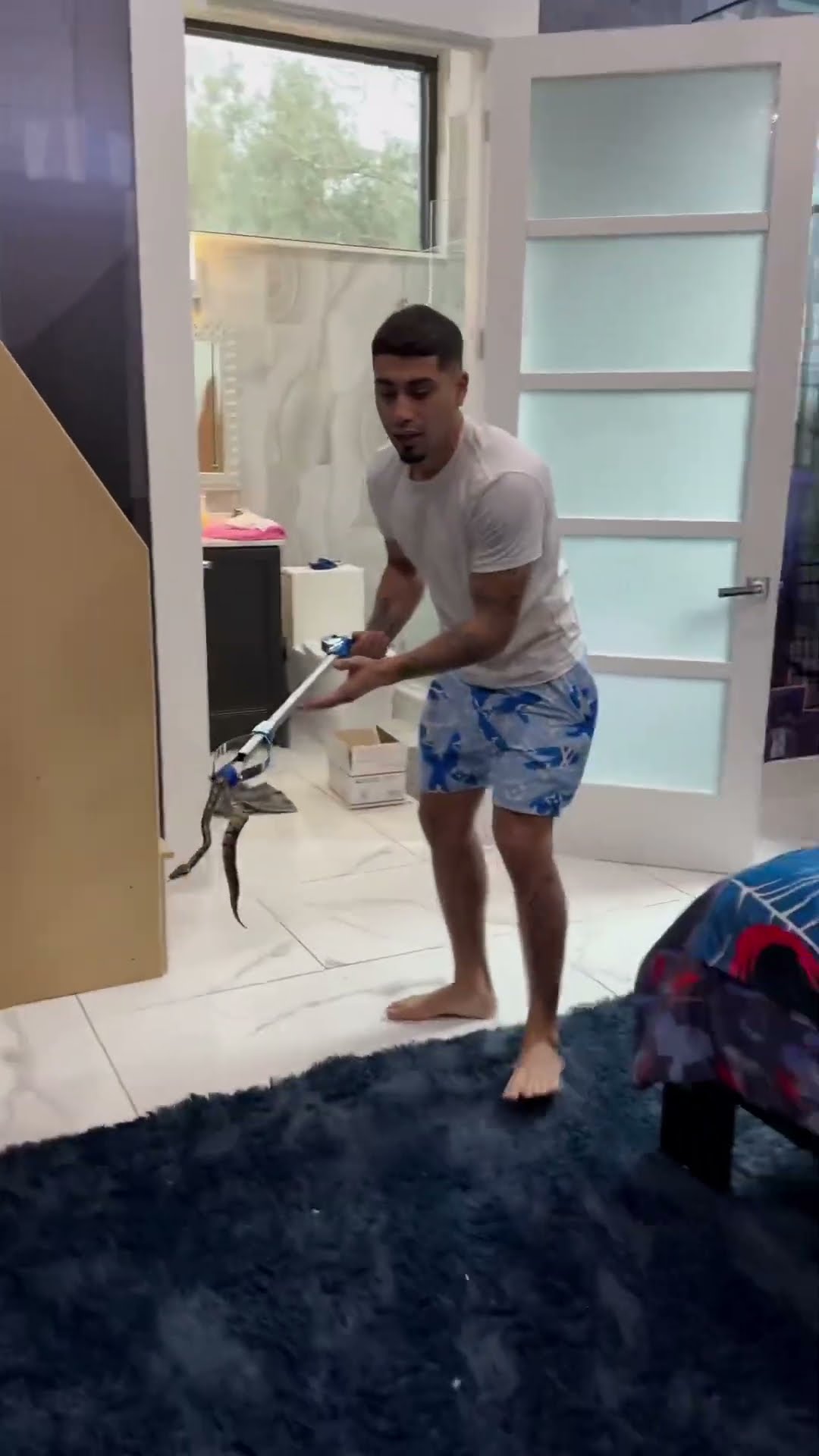 Dad gets snake out of sons bedroom then this happens #shorts