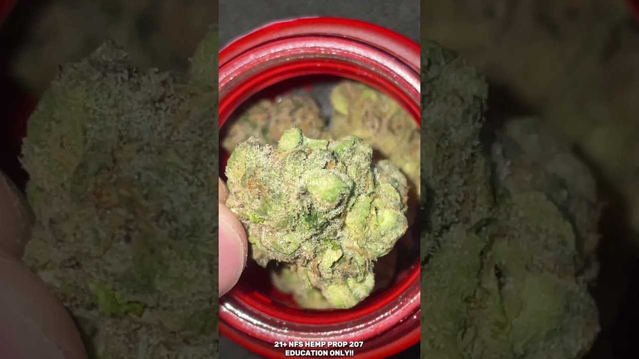 LAX PACKS MAMBACITA!