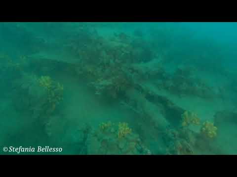 Barletta: il relitto che si trova in fondo al mare è di un sommergibile italiano, la scoperta